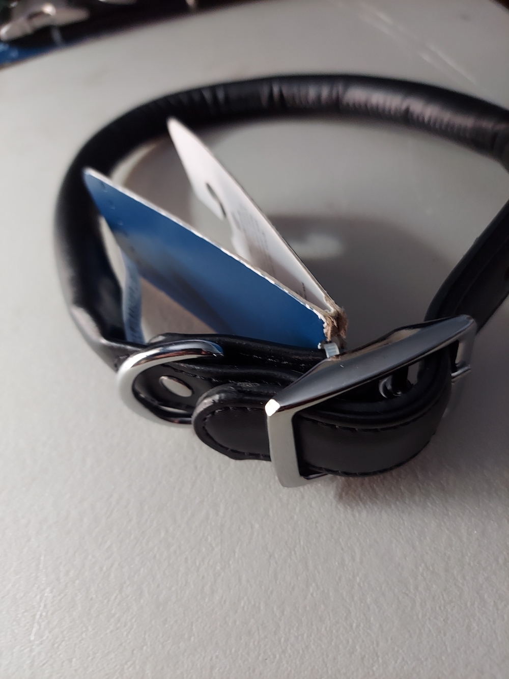 Classic Black Padded Dog Collar with Silver Hardware. Size Large.